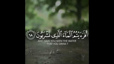 أَفَرَأَيْتُمُ الْمَاءَ الَّذِي تَشْرَبُونَ - القارئ أحمد النفيس