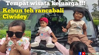 WISATA TERSEMBUNYI !!! DI KEBUN TEH RANCABALI CIWIDEY BANDUNG