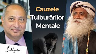 Cauzele Tulburărilor Mentale - Lucruri comune pe care oamenii le fac care duc la probleme mentale