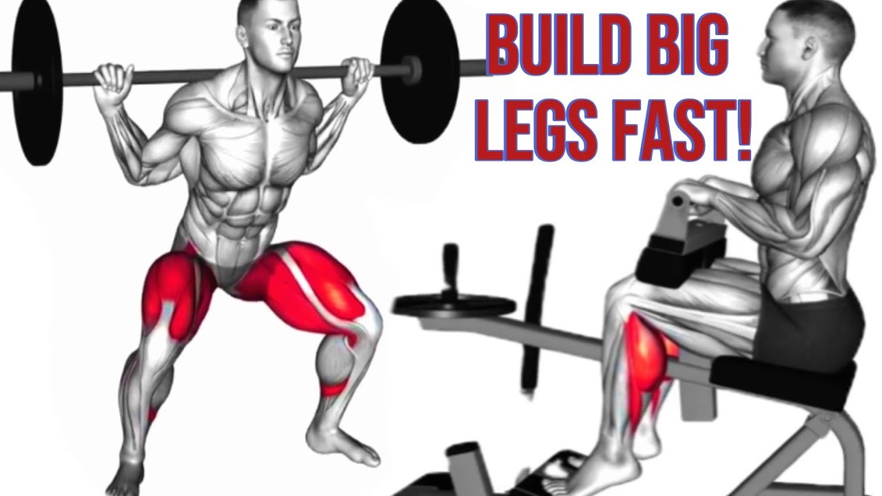 7 Best Leg Exercises You Need for Mass | Leg Workout for Size ...