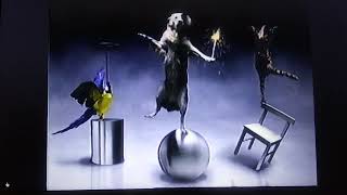 Mcdonalds Robo Chi Pets Happy Meal Toys Commercial 2001