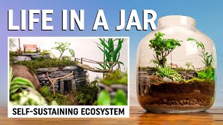 6 months ago we built a self-sustaining ecosystem – this is what happened