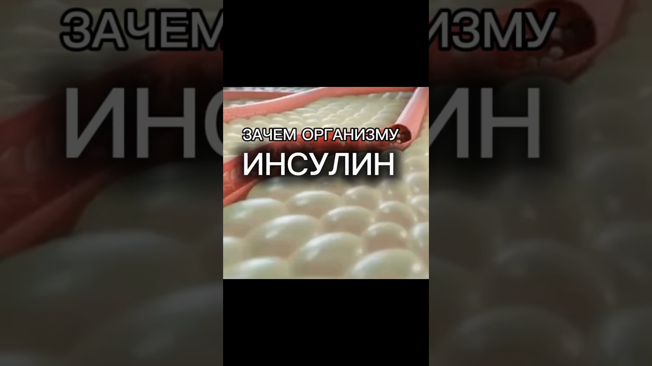 ИНСУЛИН— это гормон, помогающий переносить глюкозу (сахар) из кровотока к... смотри описание 👇