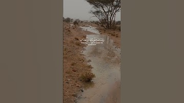 سورة الحج [46 - .. ] بصوت القارئ ياسر الدوسري #قران_كريم #قرآن #راحة_نفسية
