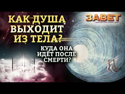 КАК ДУША ВЫХОДИТ ИЗ ТЕЛА? КУДА ОНА ИДЁТ ПОСЛЕ СМЕРТИ? ЗАВЕТ