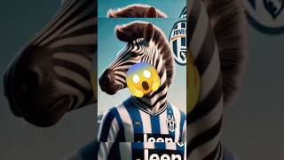 Animal Football Team