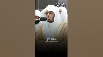 ﴿سُبحانَهُ وَتَعالى عَمّا يُشرِكونَ﴾ | تلاوة بهيّة لفضيلة الشيخ أ.د.#ياسر_الدوسري حفظه الله