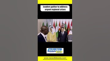 UAE’s Sheikh Mansour Calls for Unity & Peace at GCC and Arab-Islamic Summits