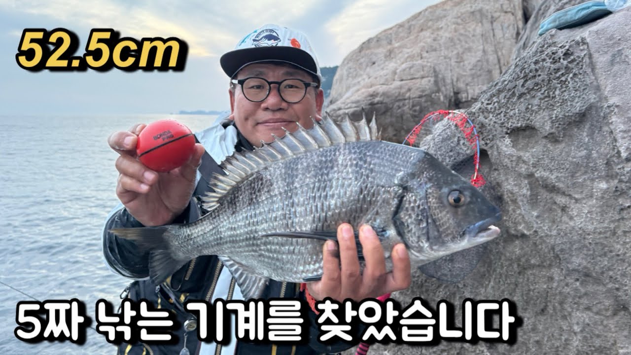 수심 바닥 지형을 정확하게 알고 감성돔 낚시를 하니깐 쉽습니다 쉬워 ! 본다프로 