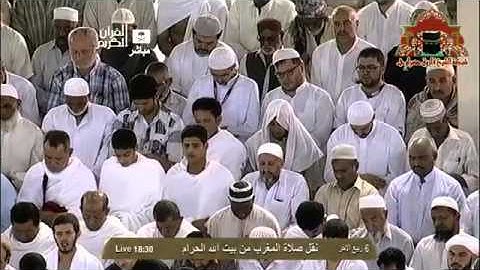 النبأ [31-آخر السورة] 1435هـ الشيخ بندر بليلة