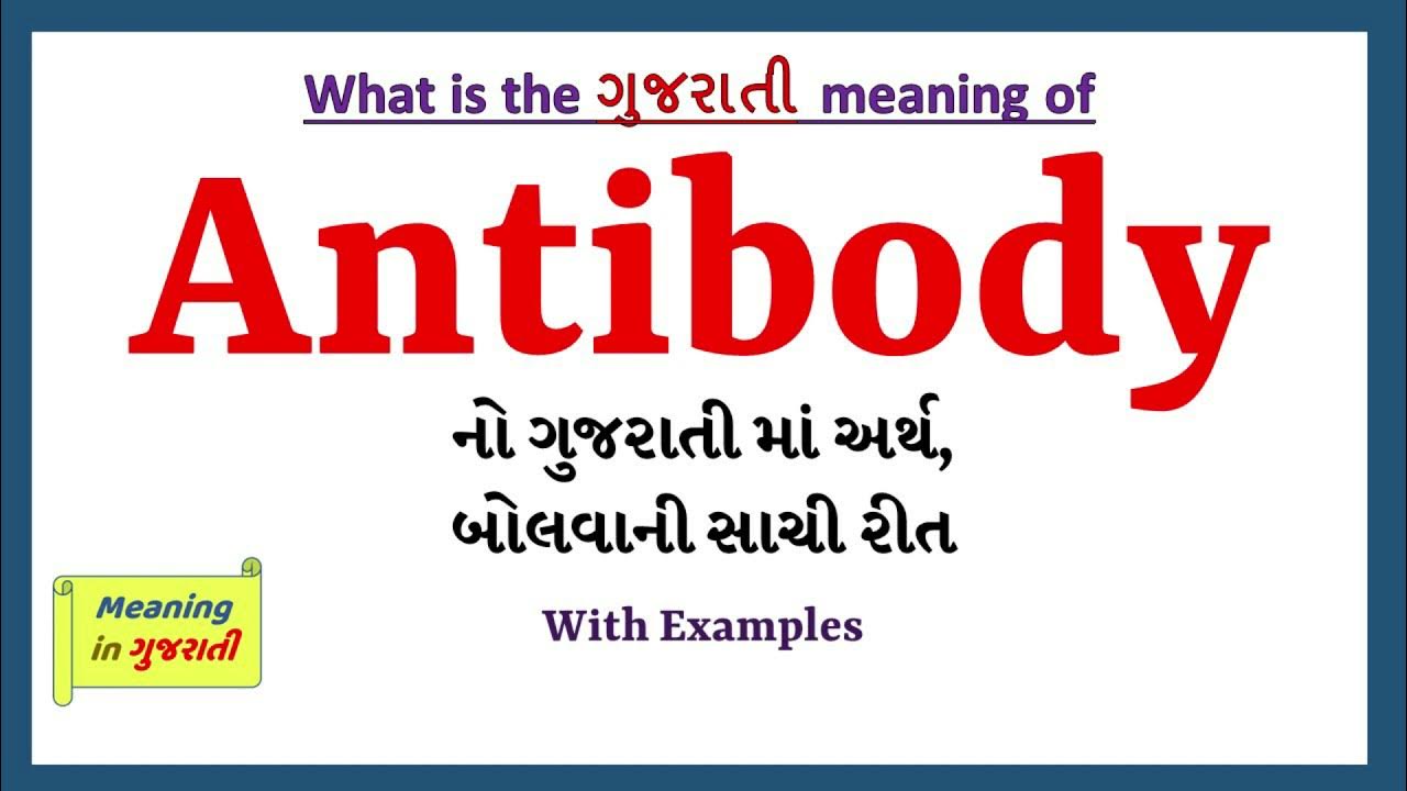 Antibody Meaning in Gujarati Antibody નો અર્થ શું છે Antibody in