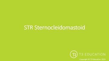 Soft Tissue Release:  STR Sternocleidomastoid or the SCM