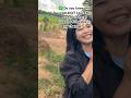 Harvesting Fresh Smooth Luffa ( Loofah) in Rainy Season 🌿🌧️