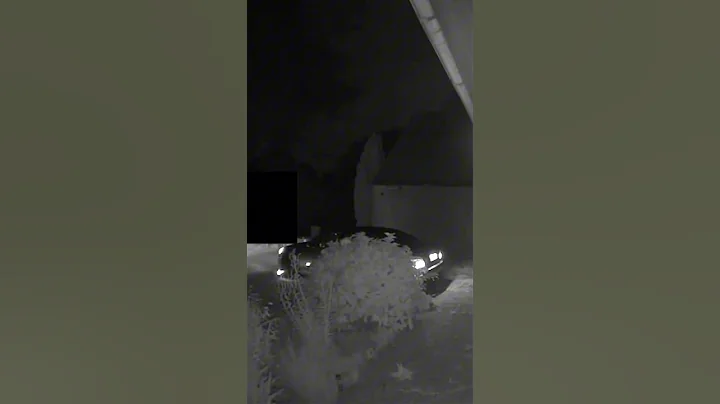 2JZ waking up the neighbors #shorts #lexusgs300 #2jz #supra