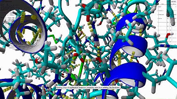 Snifferomyces: Close-up on the interaction between niacin and its receptor