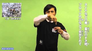 Mimi Suppo Miyagi Sign Language Video H24-37: Beware of Redback Spiders!!