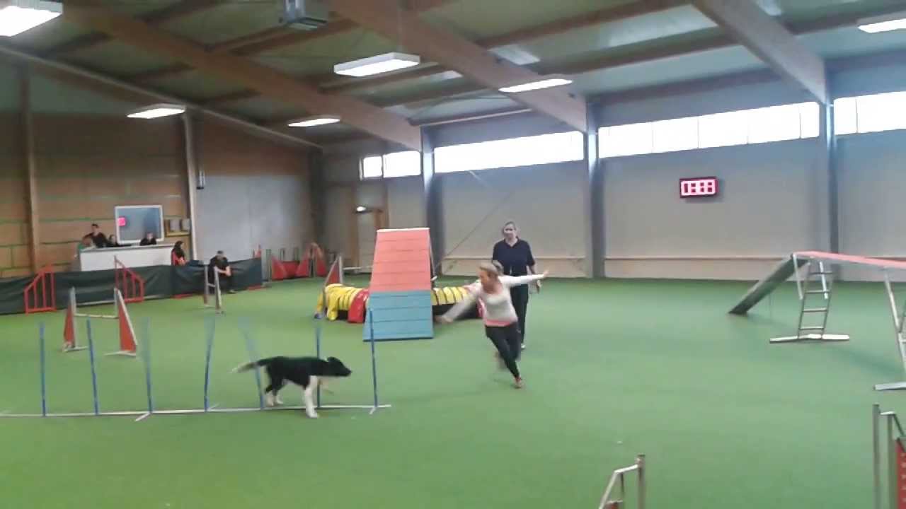 JamBoy in Austria, Ebreichsdorf YouTube