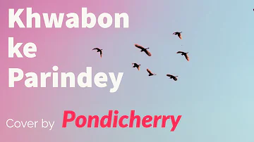 Khwabon Ke Parindey (Lounge cover) - Zindagi Na Milegi Dobara - Acoustic Cover by Pondicherry