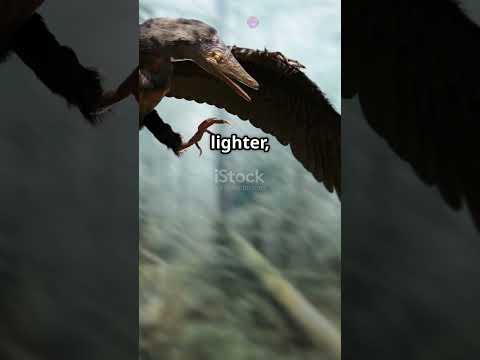 From Dinosaurs to