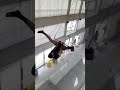 How to Nail the Straddle Whip