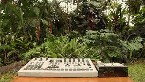 Sketch 02 | Ambient with the Elektron Analog Four & Empress Zoia