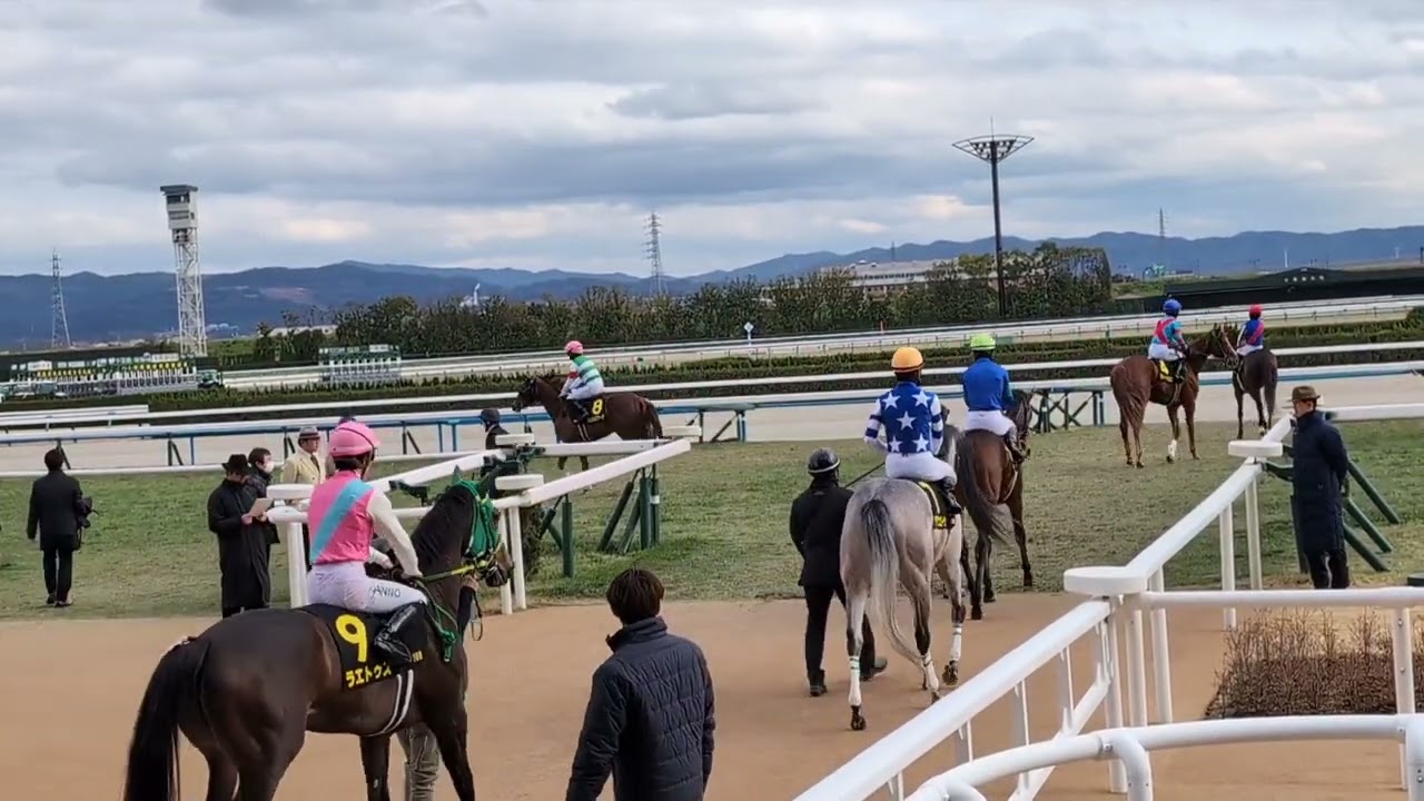 【エルフィンS2026】スウィートハピネス切れ味鋭い脚で差し切り勝ち！