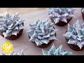 How to Make Buttercream Leafy Succulent | Wilton