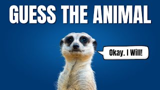 Guess These Animal Names To Work Out The Secret Message! screenshot 2