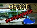 Обзор стоек с аквариумами 4 и 3 яруса