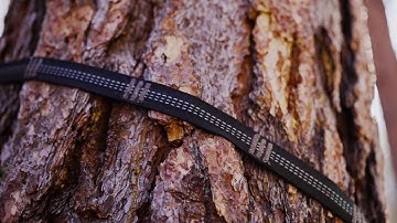 Wise Owl Outfitters Talon XL Hammock Tree Straps