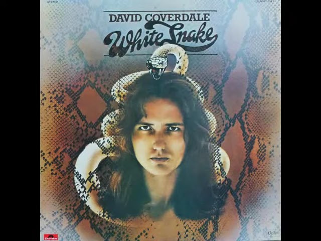 David Coverdale 