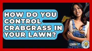 How Do You Control Crabgrass In Your Lawn? - LearnToDIY360.com