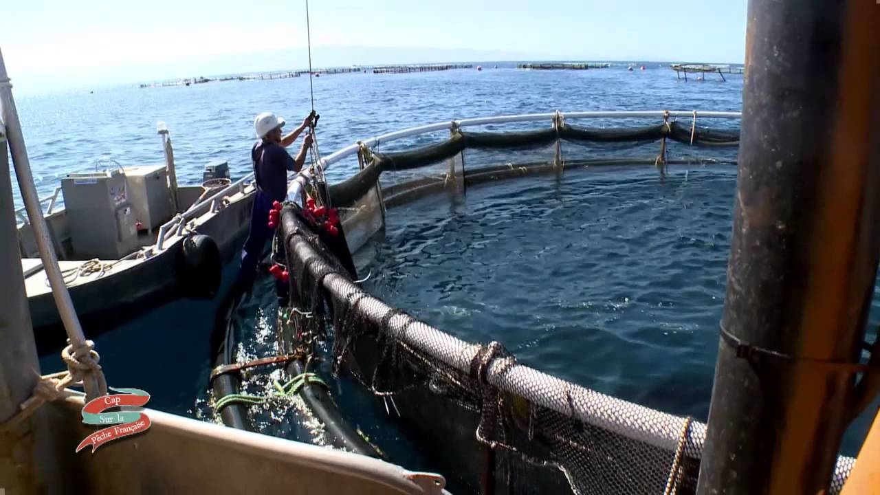 La pêche dans le domaine dIrkoutsk sur la ligne