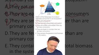 MCQ: Energy Pyramid