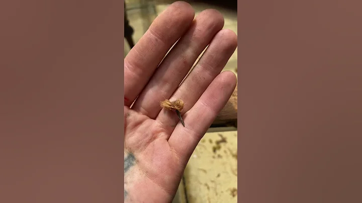 Restoring  100 years old antique english Furniture