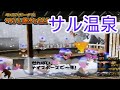 ピポサル2001 つるつるランド サル温泉 ピポサル2001 つるつるランド サル温泉