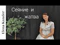 Христианские стихи/ Сеяние  и жатва/ Elena Kanzler