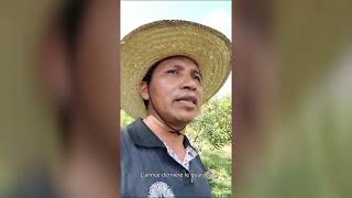 Un Message Du Président Du Consortium Des Producteurs Sateré Mawé