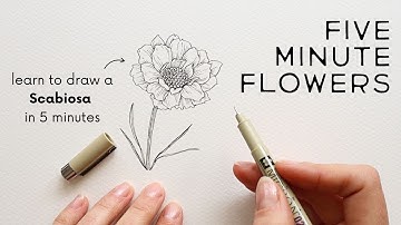 Five Minute Flowers | PIN CUSHION ✿ Learn to draw flowers with ink!