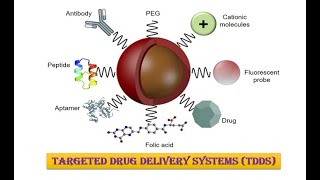 Targeted Drug Delivery Systems (TDDS) in depth