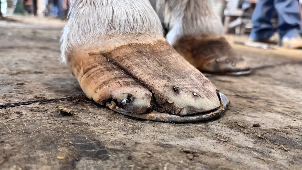 Ремонт огромной трещины в акриле/сердечке