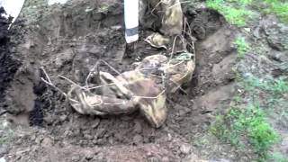 VID 20120420 110918