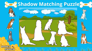 Shadow matching puzzle | Kids puzzle video | Children activity video | Honey Bunch - kids