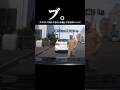 ブ。ブチギレて降りてきた人が優しすぎた件について#ドラレコ映像 #車
