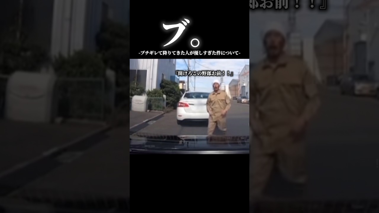 ブ。ブチギレて降りてきた人が優しすぎた件について#ドラレコ映像 #車