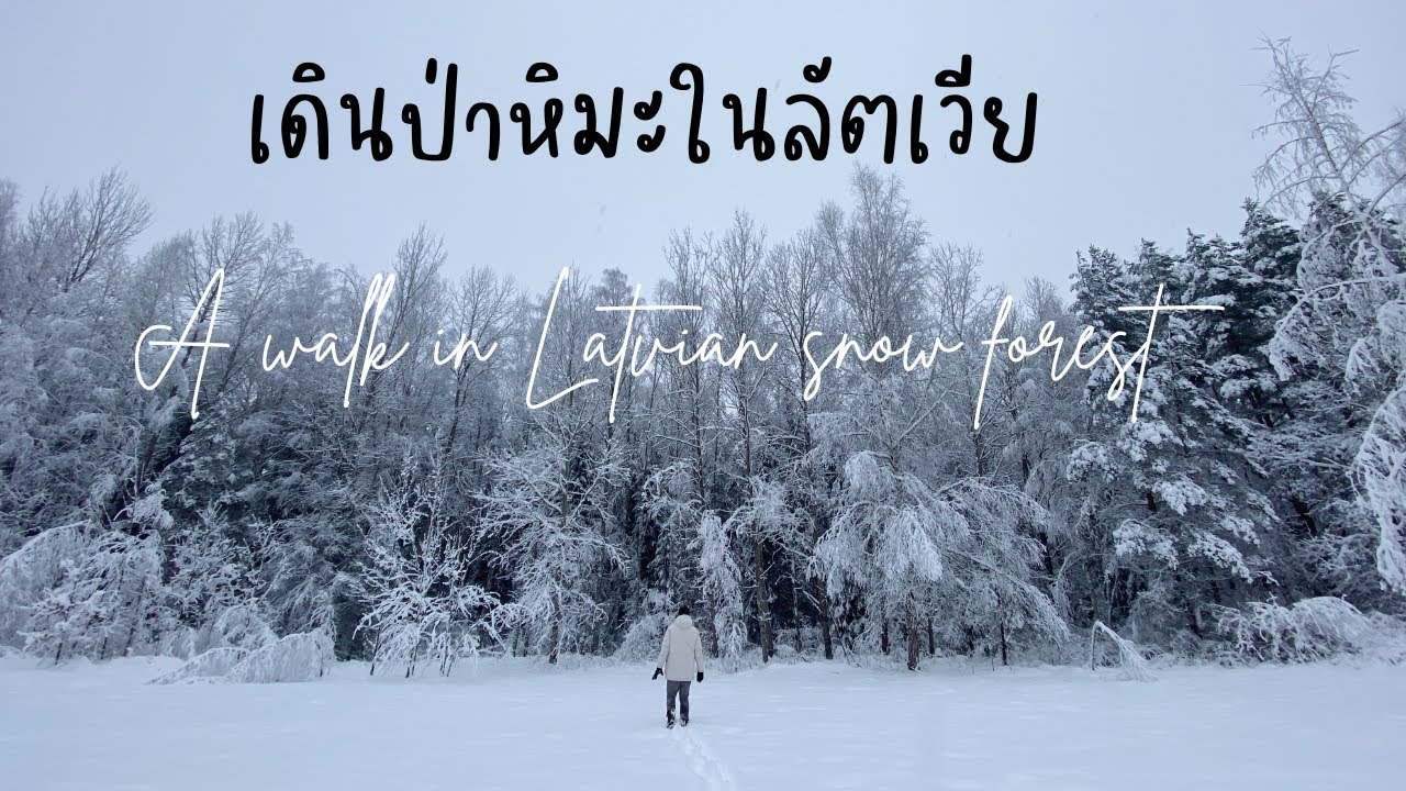 เดินป่าหิมะในลัตเวีย (Latvia) ซื้อชอคโกแลตร้อน100% ในริก้า (Rīga)/ A walk in Latvian snow forest