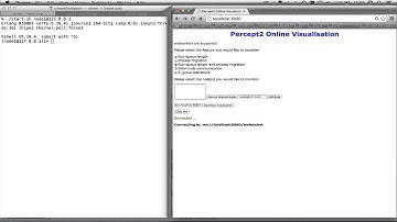 Online visualisation of runqueues and process migrations