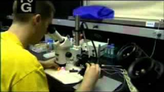 National Geographic - Was Darwin Wrong (Part 4)