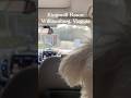 🏎️Driving Tour of Williamsburg’s Kingsmill Resort🏨