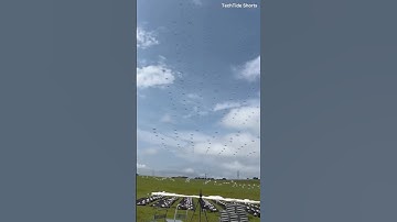 Be amazed by thousands of drones creating stunning patterns in the daylight sky!✨ #DroneShow #SkyArt